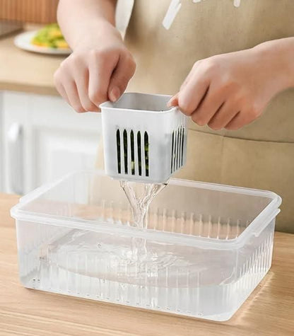 Freezer Storage Containers for Kitchen